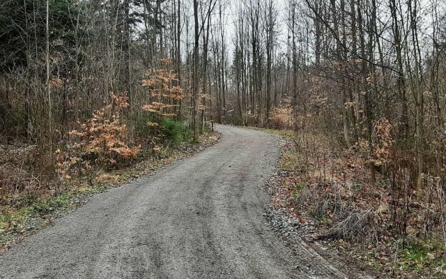 Zwiększenie nośności drogi leśnej w Rudicach w Morawskim Krasie
