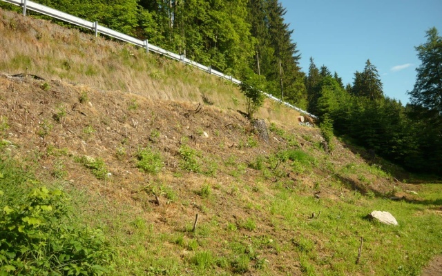 Sanacja osuwiska skarpy drogi II/357 w Strachujowie