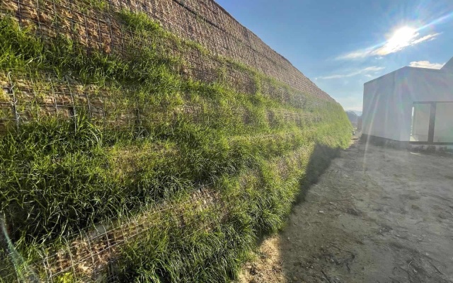 Strome zbocza wzmocnione geosyntetycznymi zbrojeniami w Stupavie‑Lintavach