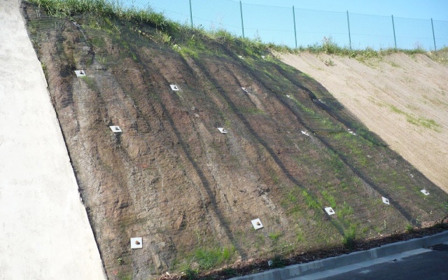 Ochrona skarpy na terenie drogerii DM w Igławie