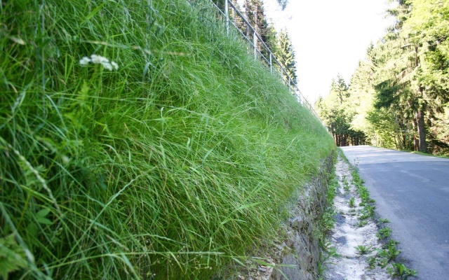 Wysokie oddzielenie drogi i ścieżki rowerowej stromym zboczem w Prášilech na Szumawie