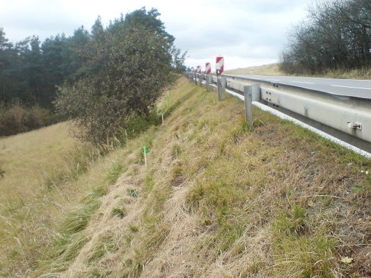 Sanacja osuwiska stoku przy drodze I/23 w Vladislavie
