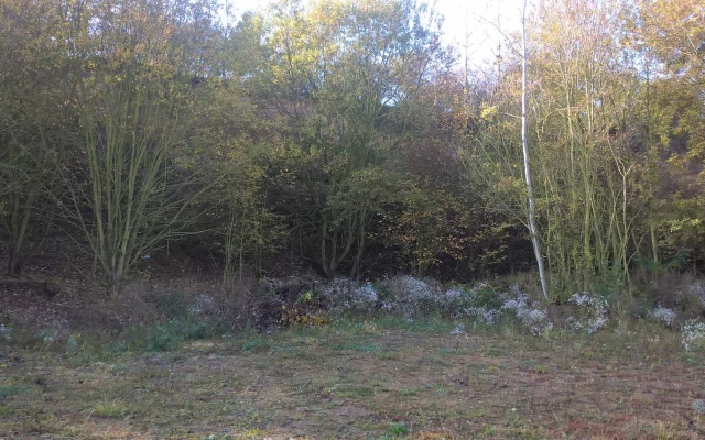 Revitalizacja dawnej piaskowni w Pradze‑Lysolajach