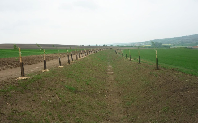 Zbiorczy rów odprowadzający na Holém kopci w Kobylí