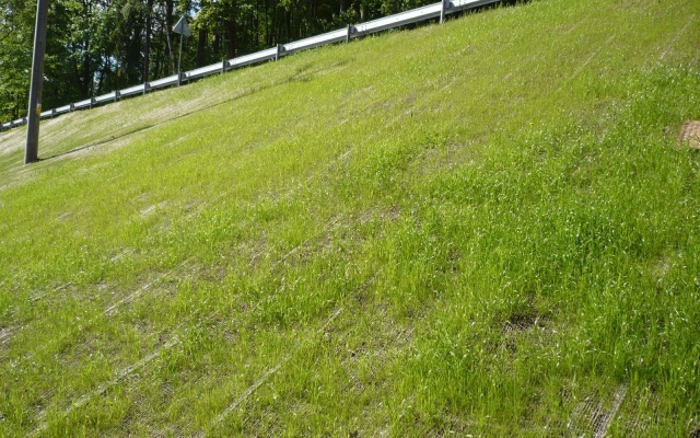 Kokosowe maty jako przeciwerozyjna ochrona skarp podczas rekonstrukcji drogi w Žacléřu