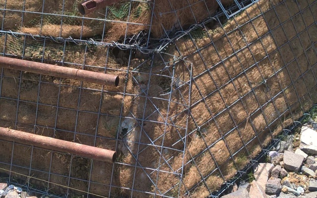 Terminál na R1 - Beladice, strome zbocze z gruntu zbrojonego