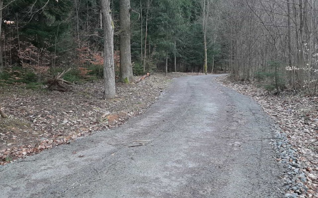 Zwiększenie nośności drogi leśnej w Rudicach w Morawskim Krasie