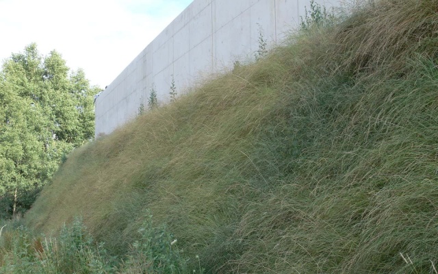 Strome zbocze z silosem kiszonkarskim w koronie we Velké Bíteši