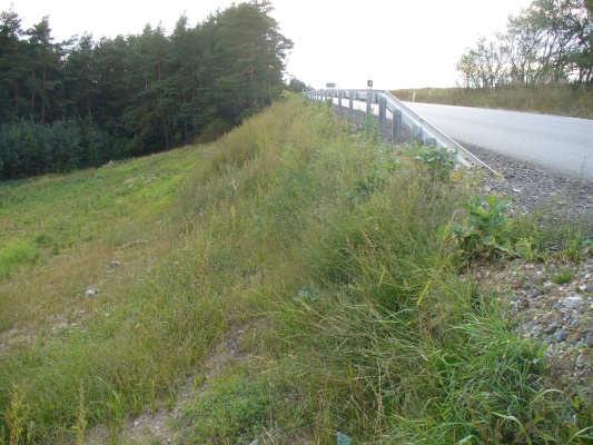 Sanacja osuwiska stoku przy drodze I/23 w Vladislavie