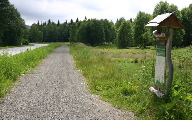Założenie ścieżki rowerowej na torfowisku w Prášilech na Szumawie