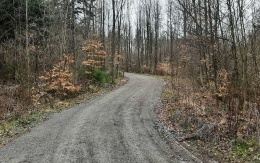 Zwiększenie nośności drogi leśnej w Rudicach w Morawskim Krasie