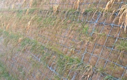 Terminál na R1 - Beladice, strome zbocze z gruntu zbrojonego