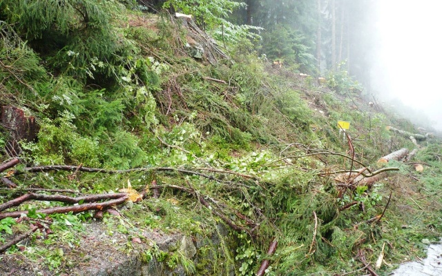 Wysokie oddzielenie drogi i ścieżki rowerowej stromym zboczem w Prášilech na Szumawie