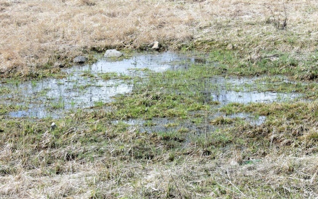 Posadowienie hali na terenie podmokłym z wykorzystaniem platformy rozkładającej z geosiatkami Tensar