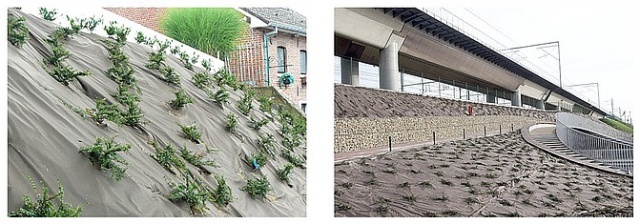 Ekotekstylia to naturalna ochrona przed chwastami i erozją