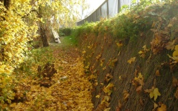 Strome zbocze na nowej linii tramwajowej w Ołomuńcu