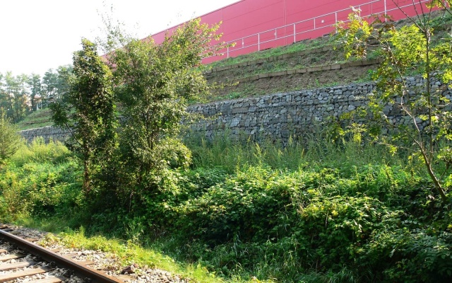 Ściana oporowa z okładziną z kamienia naturalnego w Ivančicach