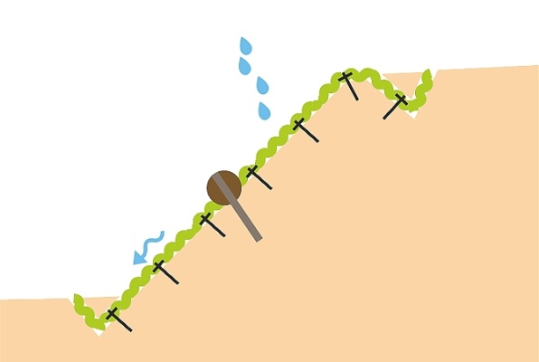 Kokosowe i jutowe siatki, maty, walce, tekstylia w ochronie przeciwerozyjnej i umacnianiu skarp
