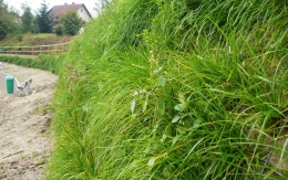 Najezdowa rampа z gruntu wzmocnionego w Valtířovie