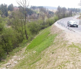 Ochrona skarp nasypu drogowego przed erozją w okolicach Sverepca