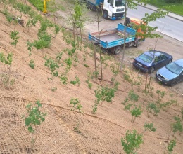 Ochrona skarpy przed erozją w miejscowości Olomučany
