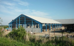 Wzmocnienie podłoża pod drogą w kompleksie rolniczym