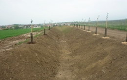 Zbiorczy rów odprowadzający na Holém kopci w Kobylí